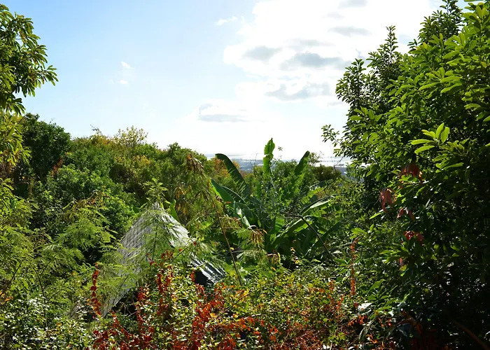 Lodge Roche Tamarin